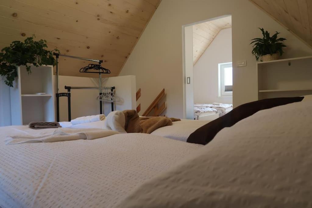 Holiday Home Dreams كوباريد المظهر الخارجي الصورة