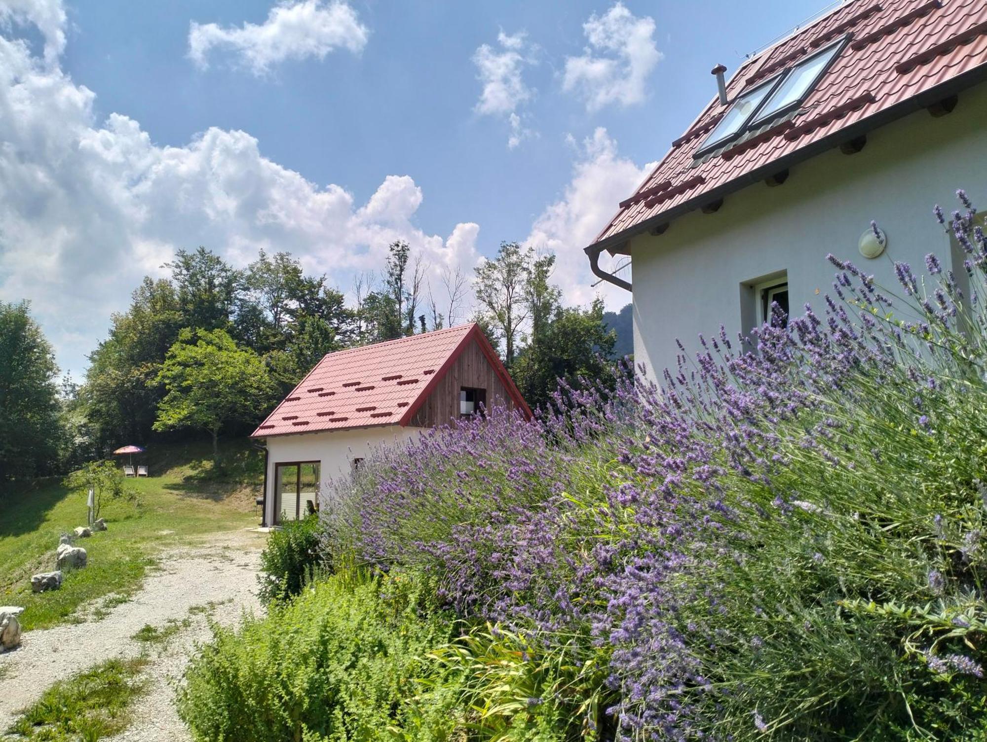 Holiday Home Dreams كوباريد المظهر الخارجي الصورة